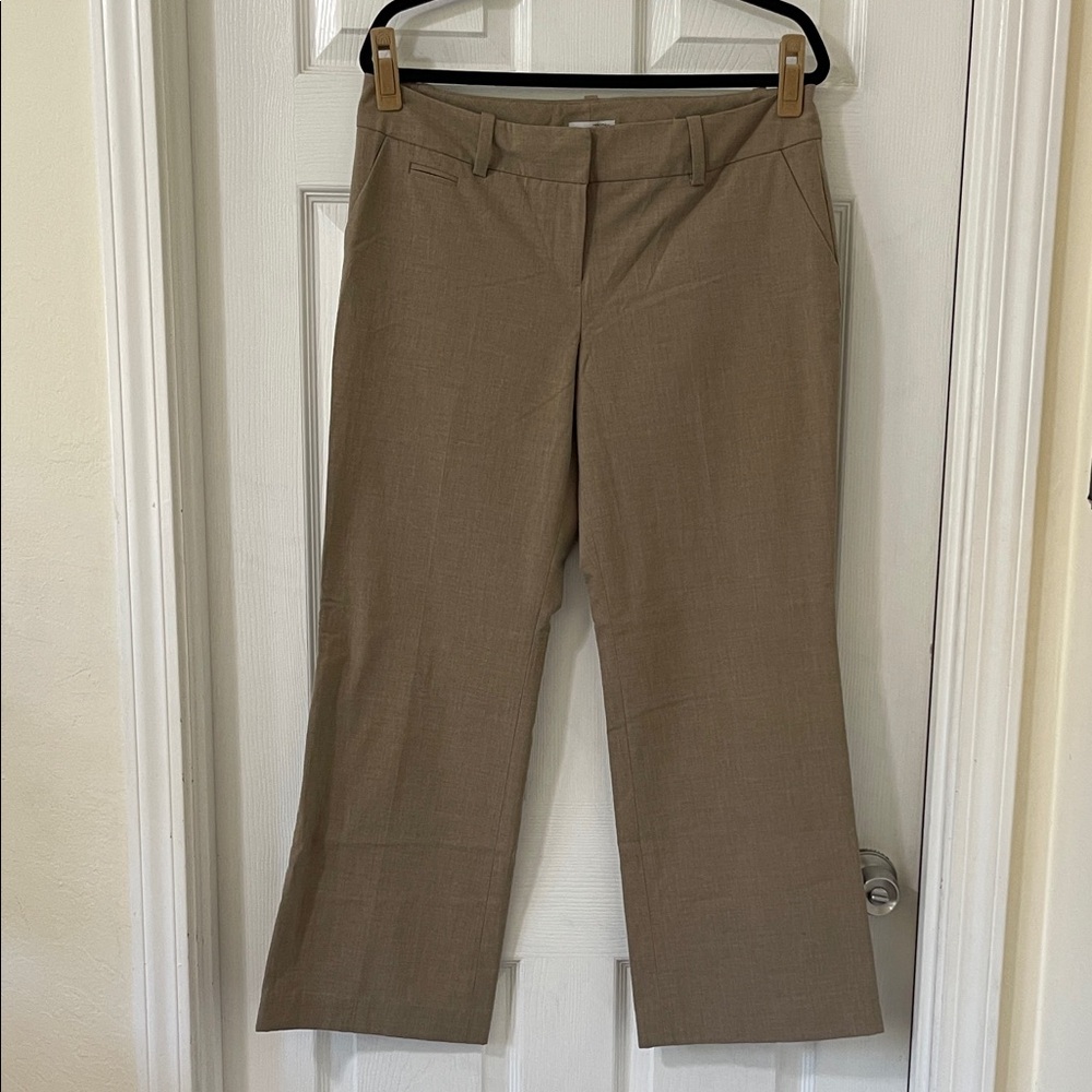 Halogen Petite Taylor Fit Trousers in Brown